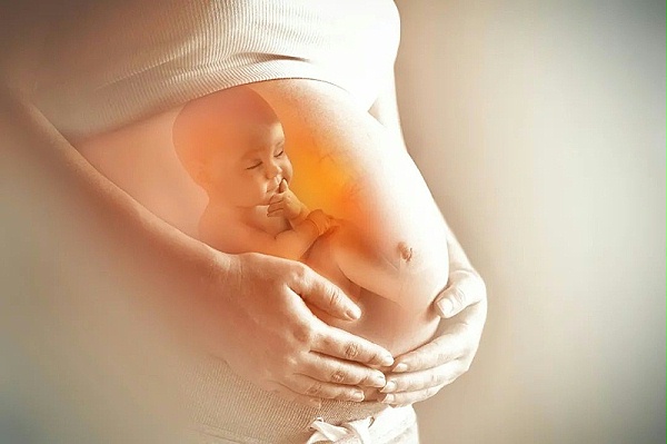 细心观察胎儿